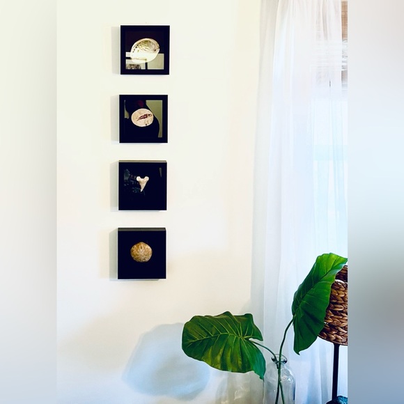 Orthoceras fossil framed - Picture 10 of 10